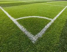 美极右翼组,骄傲男孩,前头目国会,AG官方网站官网,AG百家乐官网在线娱乐平台